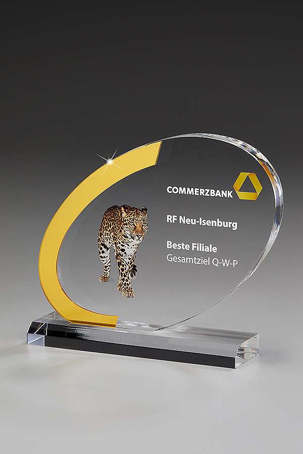 73450-Dynamic-Award-web-Pling