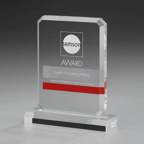 ACRYLIC FRAME AWARD