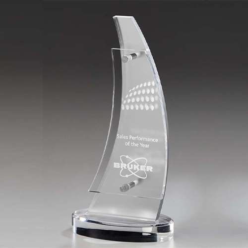 ACRYLIC ICE WING AWARD