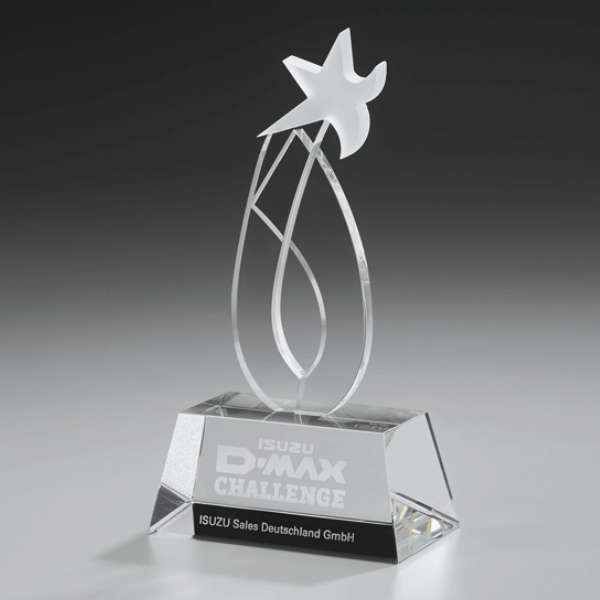 DYNAMIC ICE AWARD