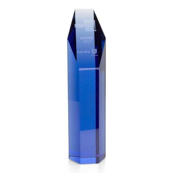 De Unilever Award op maat gemaakt glas